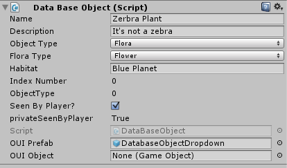 What a 'database' object looks like on the back-end.